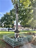 Park na Námestí sv. Ignáca